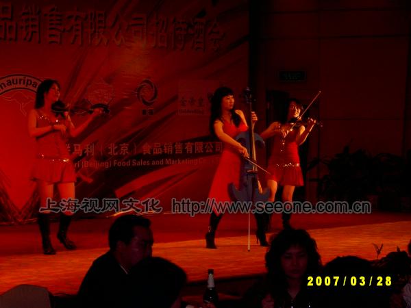 电小提琴表演