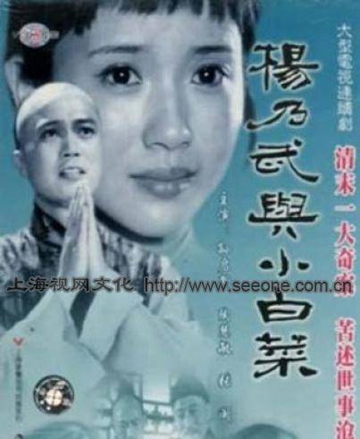 上海电视台主持人:孙启新